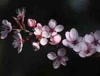 说给自己听优美的句子