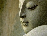 《爱情与禅宗》名句欣赏