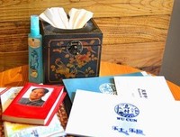 《中国知青梦》经典读后感有感