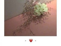 描写铁石心肠的语句摘抄