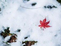 时光荏苒，请一路欢笑前行