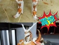 手艺拙劣的厨师才会多多地放作料