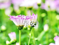 过往的优美句子