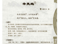 辛夷坞句子