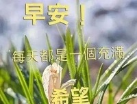 《我想你想我》的句子
