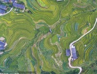 想要一张新冠地图