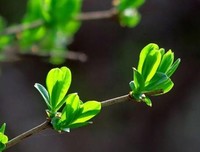天地清寒，素心向暖 ，愿山河无恙，人间皆安