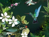 鸟语花香格言警句