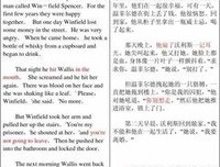 《一个国王的爱情故事》读后感锦集