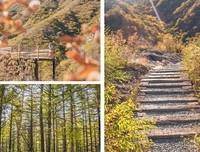 《狼烟遍地》的观后感大全