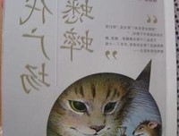 迷路在纽约读后感摘抄