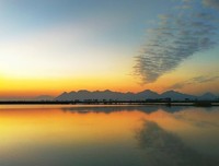 《在水一方》读后感锦集