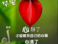亦心碎亦心醉经典的句子