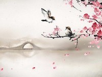 《看见以当相的男一西觉就》经典语句