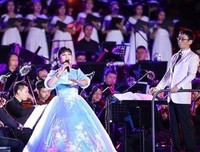 《啼笑因缘》读后感摘抄