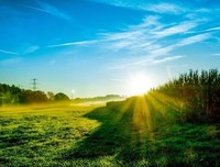 《太阳照常升起》经典读后感有感