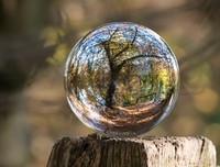 结婚十年的读后感大全
