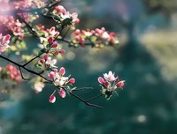 无悔选择，无悔人生