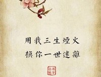 关于用我一生为你保驾护航的句子
