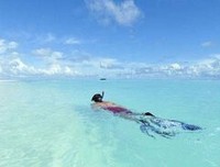 心有猛虎 细嗅蔷薇句子大全