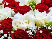 句·LOVE优美的句子