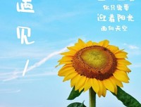 《遇见子气好每的然想样都了第对成自中，阳光刚刚好》