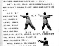 太极拳谱经典读后感有感