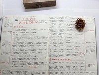 《远离尘嚣》读后感100字