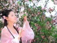 关于似懂非懂的名言