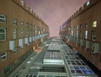 《谷歌与世界头脑》经典观后感有感