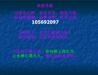 关于忆生录的句子