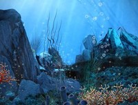 《海浪》读后感1000字