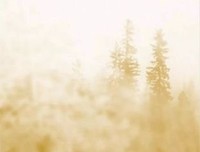 《人类群星闪耀的时刻》读后感锦集