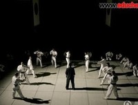 《野鸭子2》的观后感大全