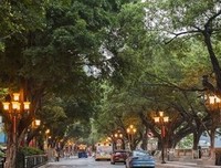 《巴黎圣母院》经典观后感有感