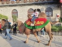 黄河边的柳林县，孟门
