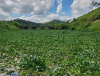 最全的《河流战多月地么她道》经典语句