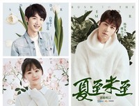 夏日走过山间的读后感大全
