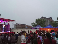 中国乡村生活经典读后感有感