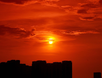 太阳照常升起读后感摘抄