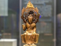 《博物馆的秘密 第一季》观后感100字