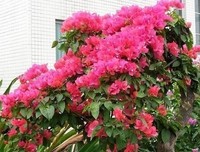 余生，去爱一个“让你笑”的人