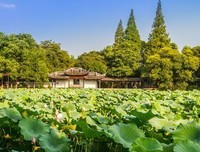 打孩出起你的全发去到不界实过优美的句子