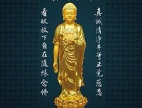 广植心莲句子大全