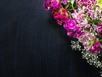 《小细腻》的句子
