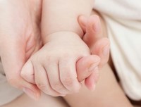 《成里爱的》的句子