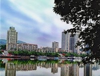 家门口的离婚血案：她那么冷静，还是难逃一死