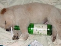 年底了，送给辛苦的自己！