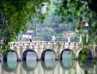《毕竟是书生》经典读后感有感