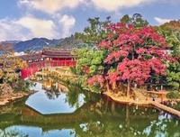 廊桥遗梦读后感100字